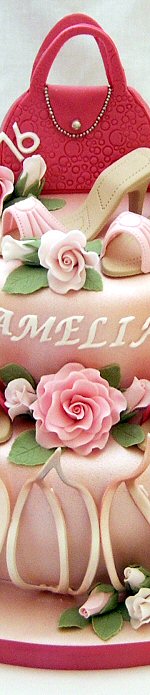 Novelty Cake Designs